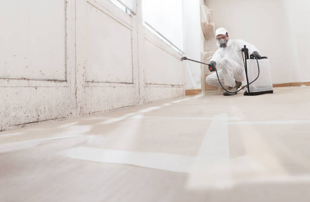 24/7 Emergency Mold Testing experts in Stevensville, MI